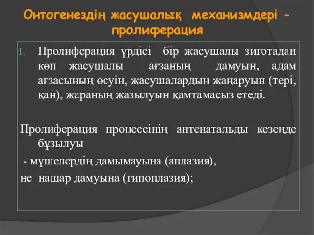 Онтогенездің жасушалық механизмдері - пролиферация Пролиферация үрдісі бір жасушалы зиготадан көп