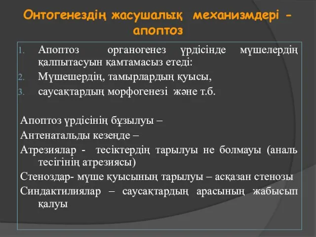 Онтогенездің жасушалық механизмдері - апоптоз Апоптоз органогенез үрдісінде мүшелердің қалпытасуын қамтамасыз