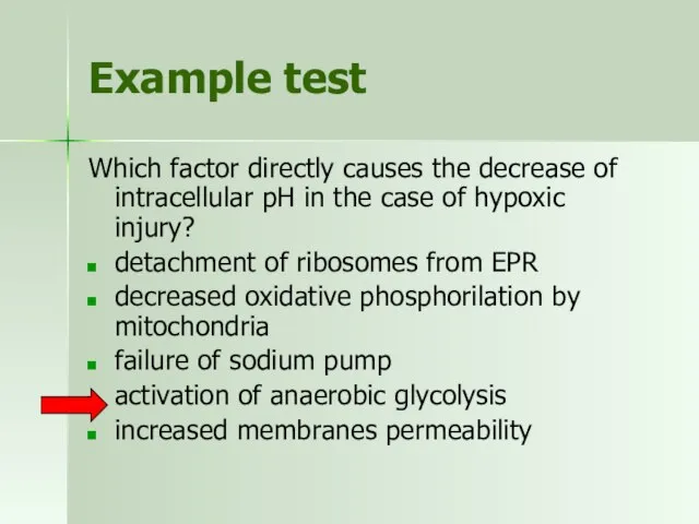 Example test Which factor directly causes the decrease of intracellular pH