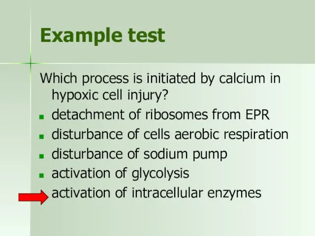 Example test Which process is initiated by calcium in hypoxic cell