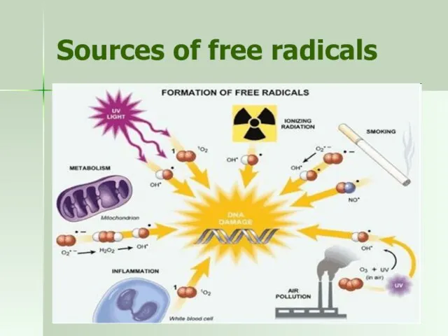 Sources of free radicals