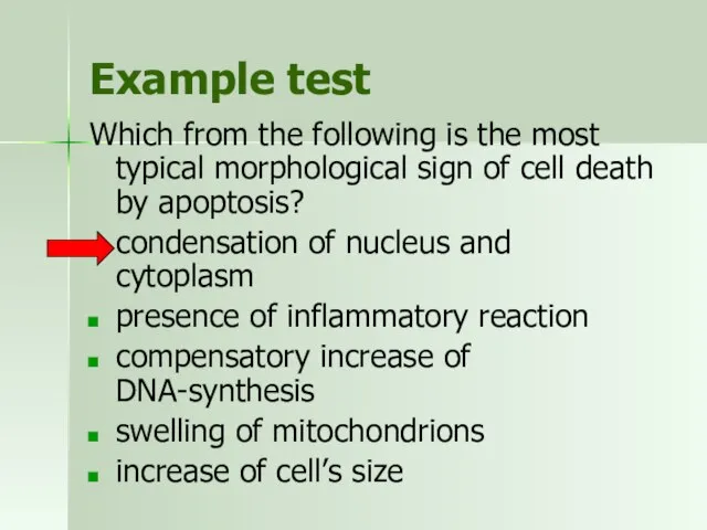 Example test Which from the following is the most typical morphological