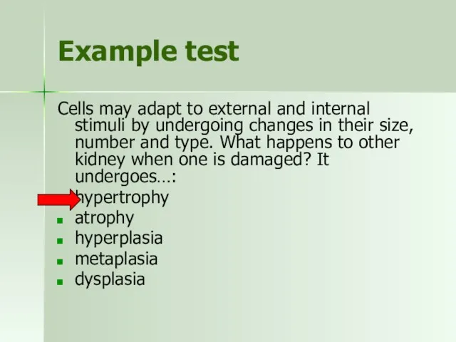 Example test Cells may adapt to external and internal stimuli by