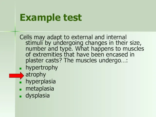 Example test Cells may adapt to external and internal stimuli by