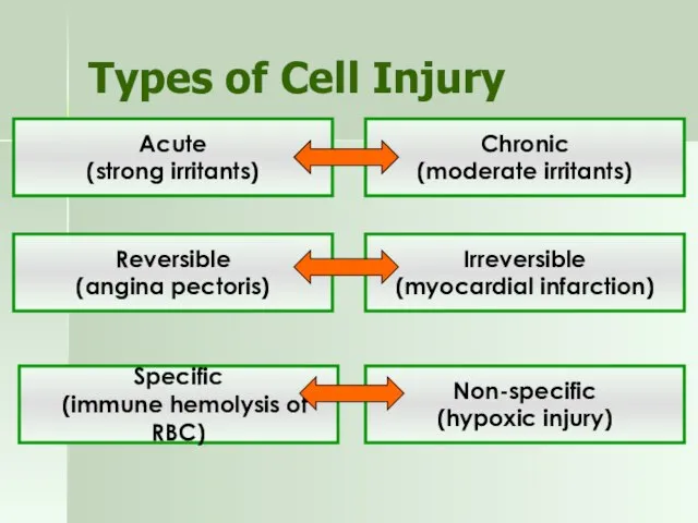 Types of Cell Injury Acute (strong irritants) Chronic (moderate irritants) Reversible