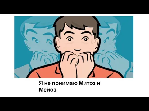 Я не понимаю Митоз и Мейоз