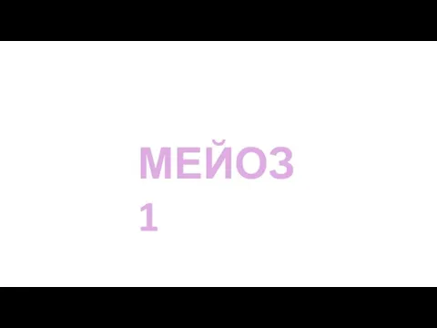 МЕЙОЗ 1