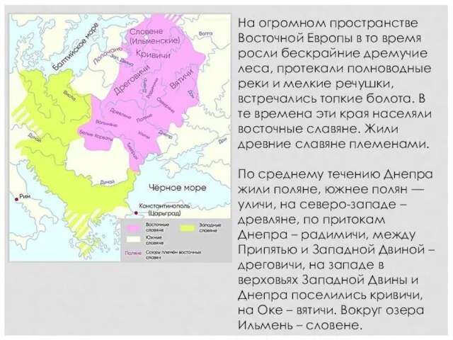 На огромном пространстве Восточной Европы в то время росли бескрайние дремучие