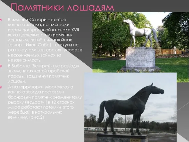 Памятники лошадям В имении Сапари – центре конного завода, на площади