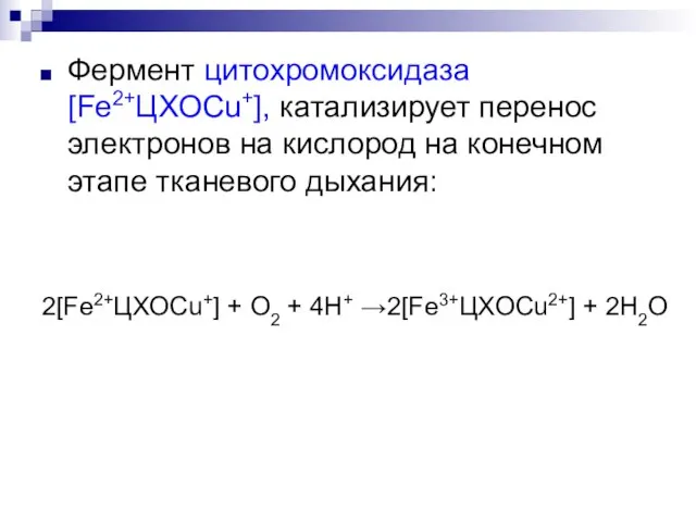 Фермент цитохромоксидаза [Fe2+ЦХОСu+], катализирует перенос электронов на кислород на конечном этапе