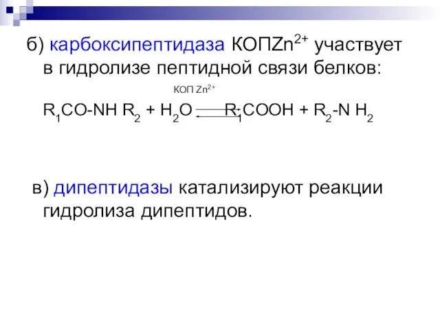 б) карбоксипептидаза КОПZn2+ участвует в гидролизе пептидной связи белков: КОП Zn2+