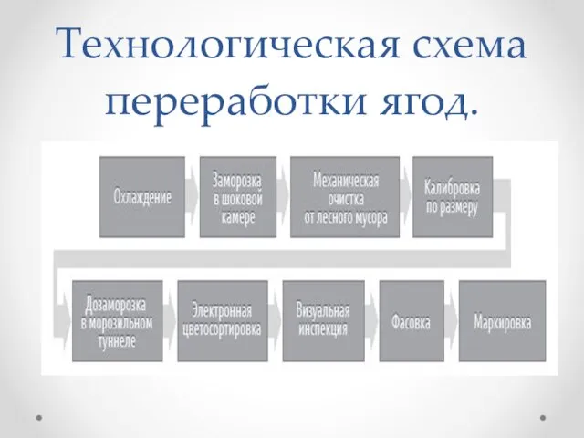 Технологическая схема переработки ягод.