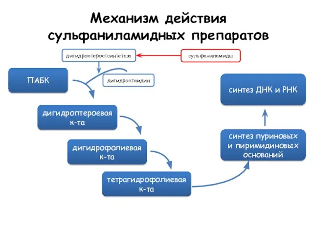 Механизм действия сульфаниламидных препаратов ПАБК дигидроптероевая к-та дигидрофолиевая к-та тетрагидрофолиевая к-та