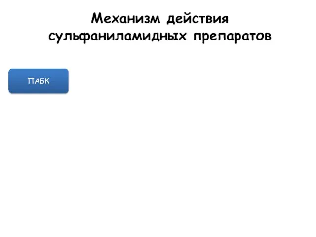 Механизм действия сульфаниламидных препаратов ПАБК