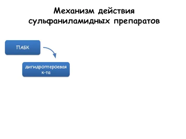 Механизм действия сульфаниламидных препаратов ПАБК дигидроптероевая к-та