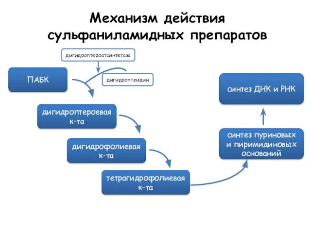 Механизм действия сульфаниламидных препаратов ПАБК дигидроптероевая к-та дигидрофолиевая к-та тетрагидрофолиевая к-та