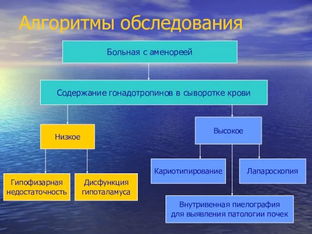 Алгоритмы обследования Больная с аменореей Содержание гонадотропинов в сыворотке крови Низкое