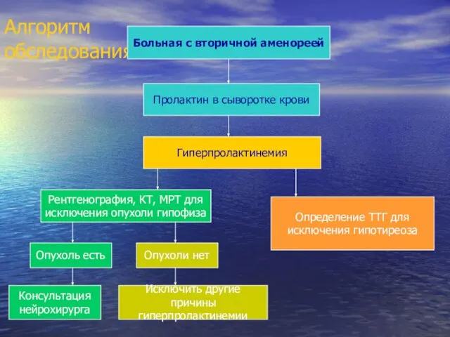 Алгоритм обследования Больная с вторичной аменореей Пролактин в сыворотке крови Гиперпролактинемия