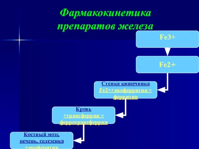 Фармакокинетика препаратов железа