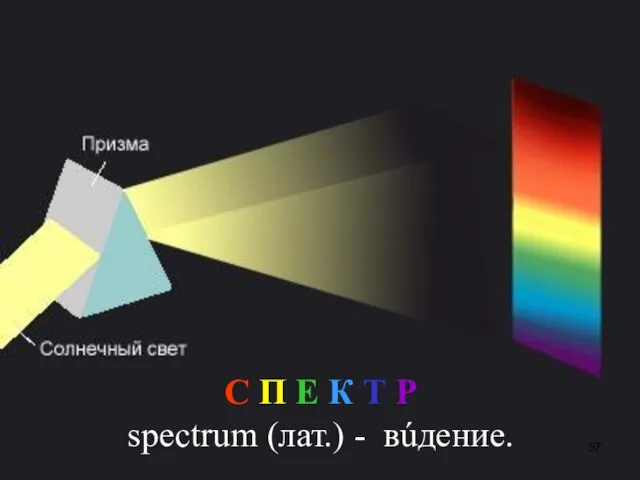 С П Е К Т Р spectrum (лат.) - вúдение.