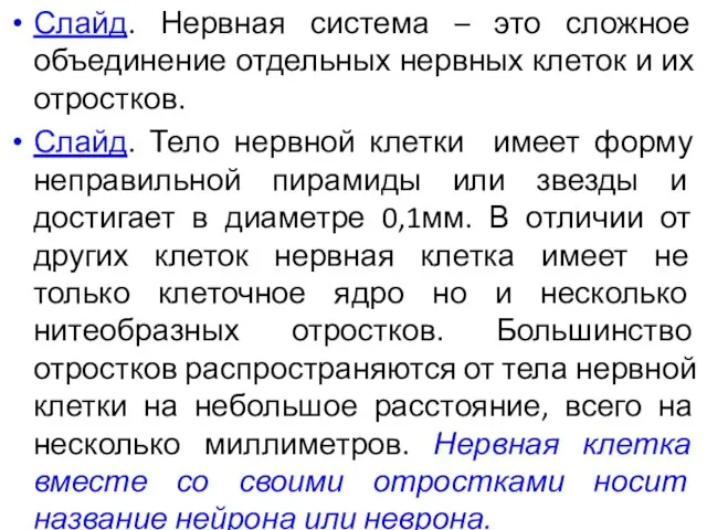 Слайд. Нервная система – это сложное объединение отдельных нервных клеток и