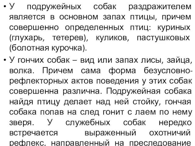 У подружейных собак раздражителем является в основном запах птицы, причем совершенно