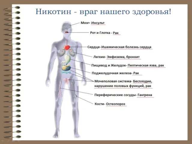 Никотин - враг нашего здоровья!