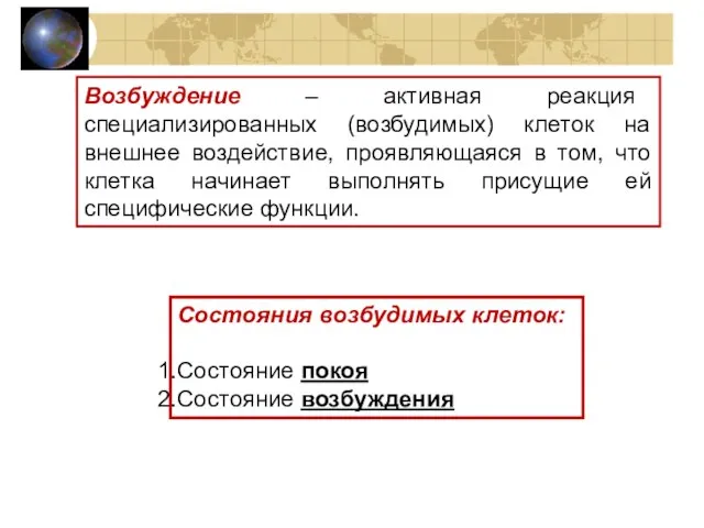 Возбуждение – активная реакция специализированных (возбудимых) клеток на внешнее воздействие, проявляющаяся