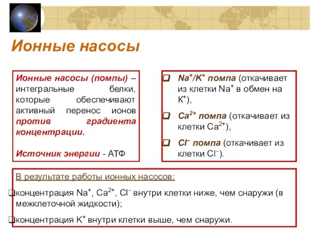 Ионные насосы Ионные насосы (помпы) – интегральные белки, которые обеспечивают активный