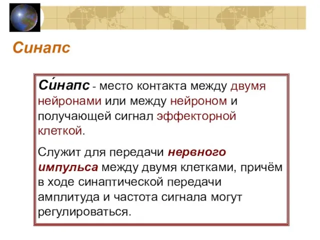 Синапс Си́напс - место контакта между двумя нейронами или между нейроном