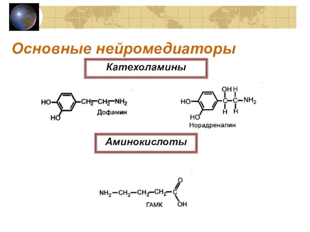 Основные нейромедиаторы Катехоламины Аминокислоты