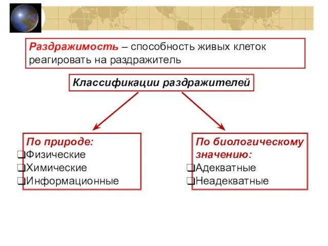 Раздражимость – способность живых клеток реагировать на раздражитель Классификации раздражителей По