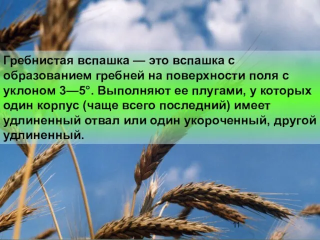 Гребнистая вспашка — это вспашка с образованием гребней на поверхности поля