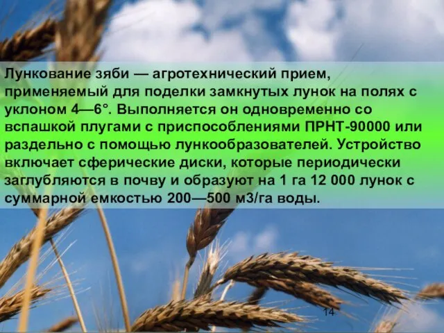 Лункование зяби — агротехнический прием, применяемый для поделки замкнутых лунок на