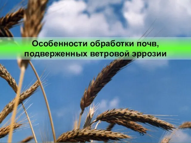 Особенности обработки почв, подверженных ветровой эррозии