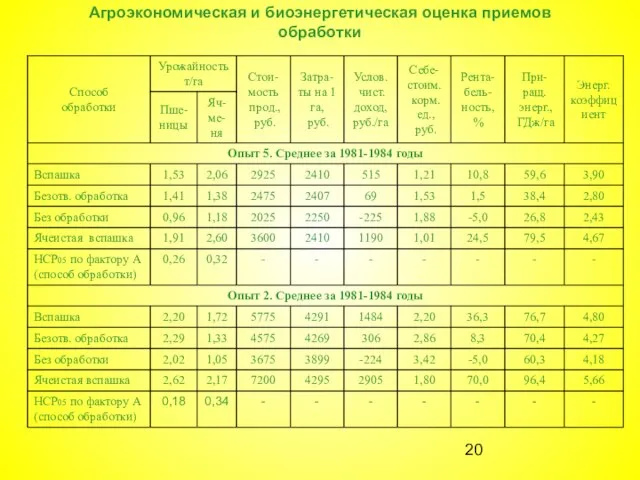 Агроэкономическая и биоэнергетическая оценка приемов обработки