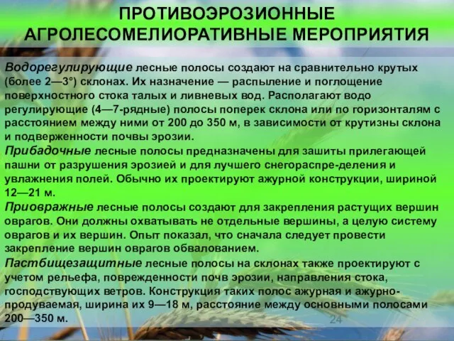 ПРОТИВОЭРОЗИОННЫЕ АГРОЛЕСОМЕЛИОРАТИВНЫЕ МЕРОПРИЯТИЯ Водорегулирующие лесные полосы создают на сравнительно кру­тых (более