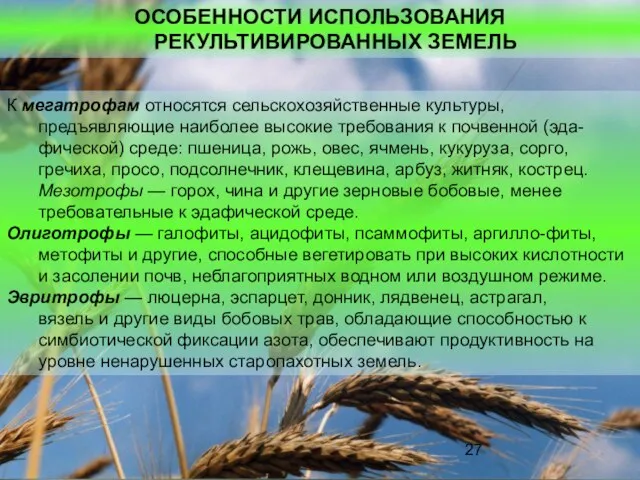 ОСОБЕННОСТИ ИСПОЛЬЗОВАНИЯ РЕКУЛЬТИВИРОВАННЫХ ЗЕМЕЛЬ К мегатрофам относятся сельскохозяйственные культуры, предъявляющие наиболее