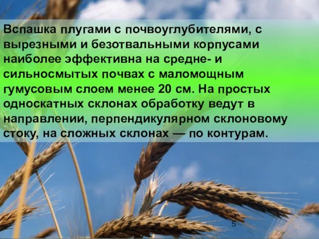 Вспашка плугами с почвоуглубителями, с вырезными и безотвальными корпусами наиболее эффективна