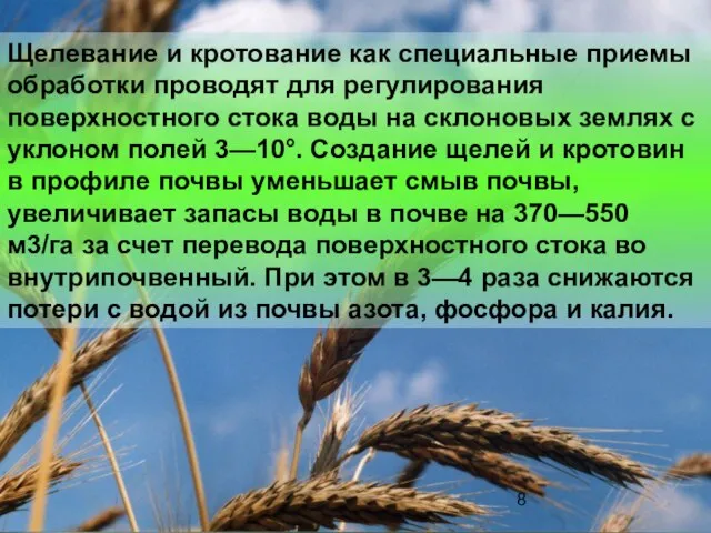 Щелевание и кротование как специальные приемы обработки проводят для регулирования поверхностного