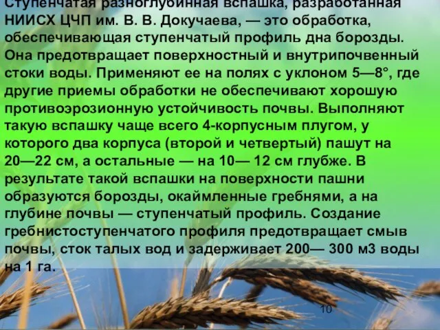 Ступенчатая разноглубинная вспашка, разработанная НИИСХ ЦЧП им. В. В. Докучаева, —