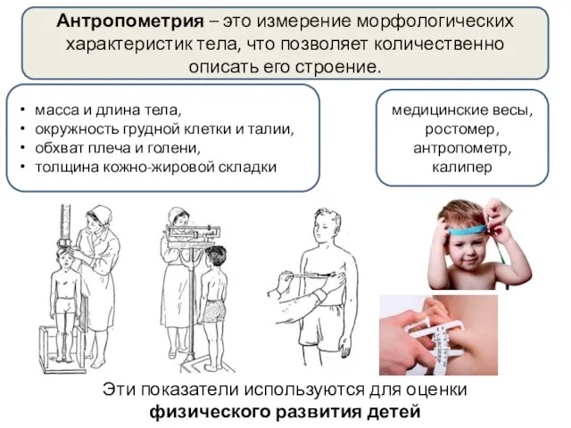 Антропометрия – это измерение морфологических характеристик тела, что позволяет количественно описать