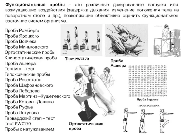 Функциональные пробы – это различные дозированные нагрузки или возмущающие воздействия (задержка