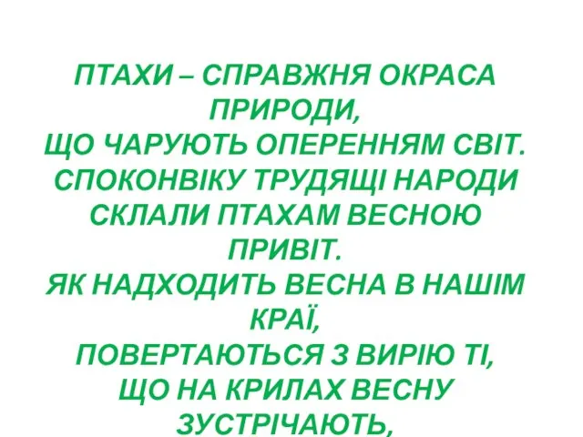 ПТАХИ – СПРАВЖНЯ ОКРАСА ПРИРОДИ, ЩО ЧАРУЮТЬ ОПЕРЕННЯМ СВІТ. СПОКОНВІКУ ТРУДЯЩІ