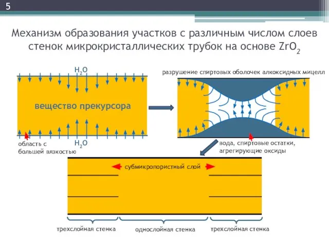 5 Механизм образования участков с различным числом слоев стенок микрокристаллических трубок на основе ZrO2 субмикропористный слой