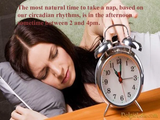 The most natural time to take a nap, based on our