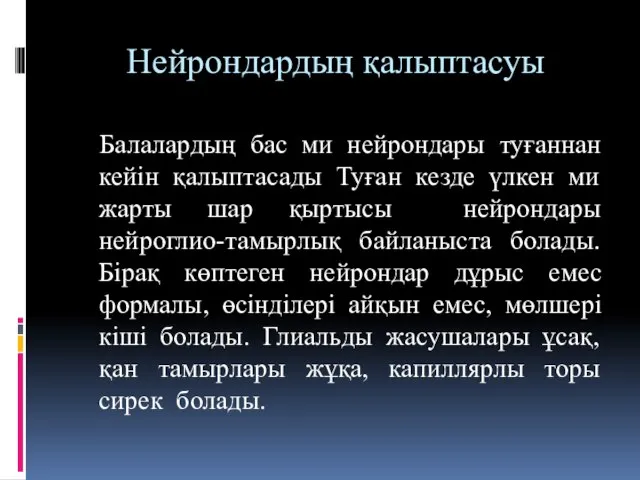 Нейрондардың қалыптасуы Балалардың бас ми нейрондары туғаннан кейін қалыптасады Туған кезде