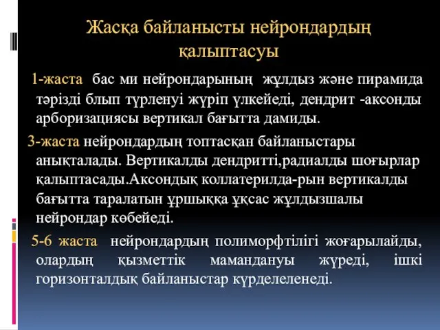 Жасқа байланысты нейрондардың қалыптасуы 1-жаста бас ми нейрондарының жұлдыз және пирамида