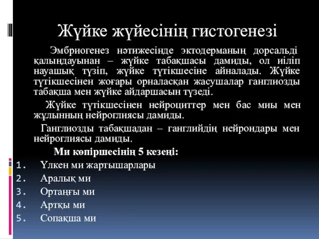 Жүйке жүйесінің гистогенезі Эмбриогенез нәтижесінде эктодерманың дорсальді қалыңдауынан – жүйке табақшасы