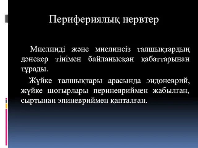 Перифериялық нервтер Миелинді және миелинсіз талшықтардың дәнекер тінімен байланысқан қабаттарынан тұрады.